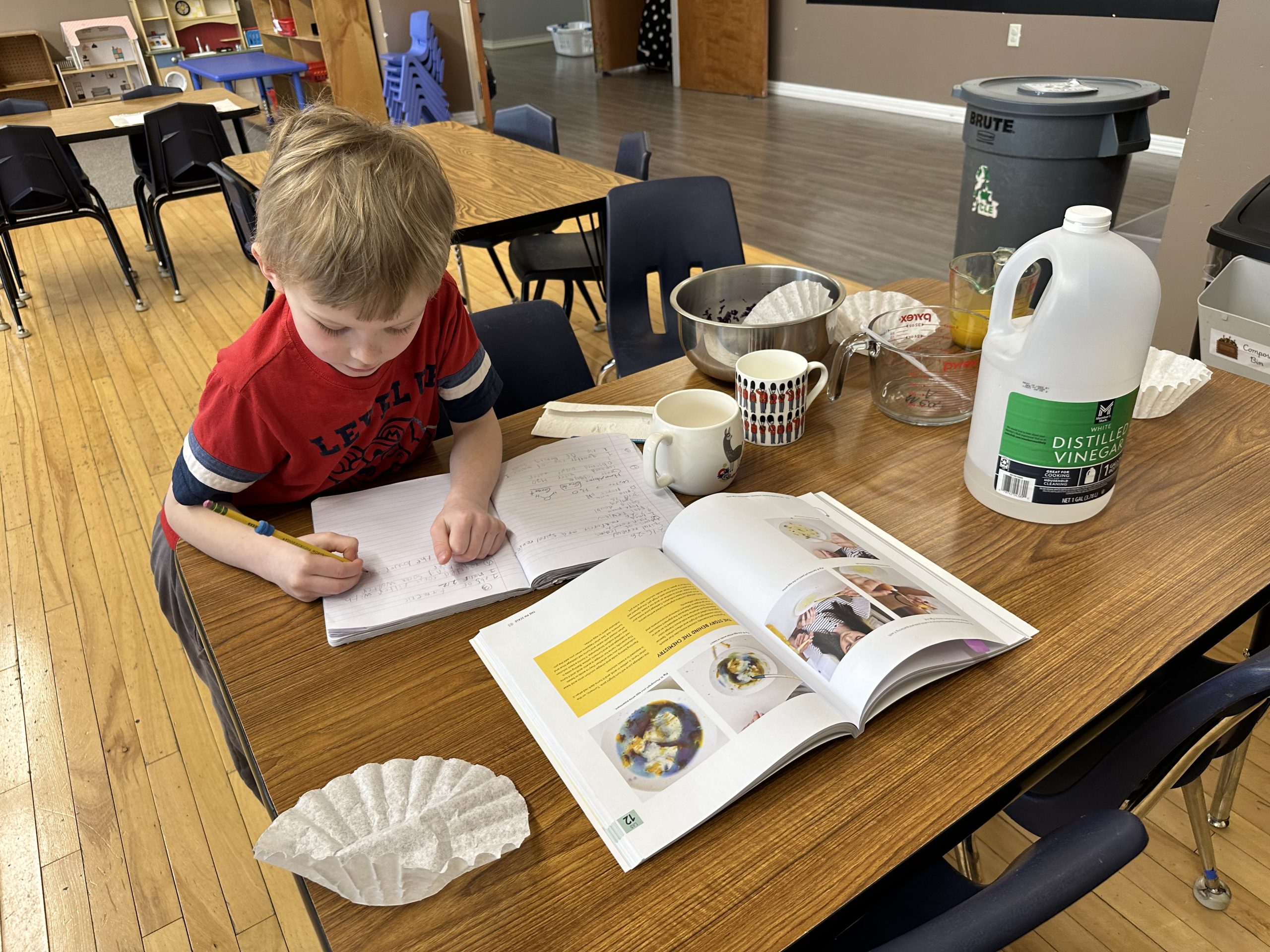 Lower Elementary Program (1)